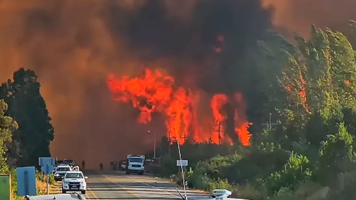 Lo cierto es que, con 230 mil hect&aacute;reas de tierras afectadas por el creciente fuego, la Patagonia se encuentra en una compleja situaci&oacute;n que llev&oacute; a los gobernadores Ignacio Torres (Chubut), Alberto Weretilneck (Rio Negro), Sergio Ziliotto (La Pampa), Rolando Figueroa (Neuqu&eacute;n) y Claudio Vidal (Santa Cruz) a oficializar el reclamo.&nbsp;