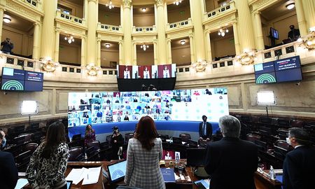Moratoria 2020: El Senado debatió el proyecto en un recintovirtual. Moratoria 2020: El Senado debatió el proyecto en un recintovirtual.