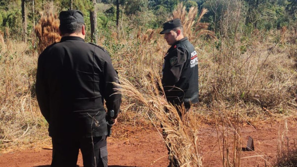 Hallaron el cuerpo con signos de extrema violencia en Misiones. Hallaron el cuerpo con signos de extrema violencia en Misiones.