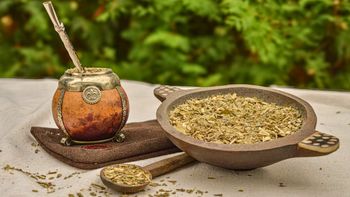 El Instituto Nacional de Yerba Mate advirtió que el sistema yerbatero 