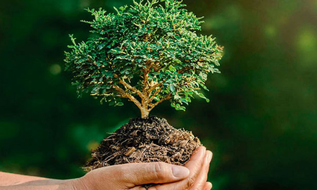 Efemérides del 18 de octubre: se celebra el Día Mundial de Protección de la Naturaleza Efemérides del 18 de octubre: se celebra el Día Mundial de Protección de la Naturaleza