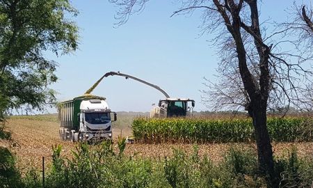 avances parciales y exceso de lluvias: asi transcurre la campana en santa fe avances parciales y exceso de lluvias: asi transcurre la campana en santa fe