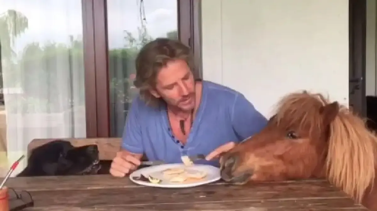 Explorá la lujosa casa campestre de Facundo Arana: un paraíso verde en pleno corazón urbano. Explorá la lujosa casa campestre de Facundo Arana: un paraíso verde en pleno corazón urbano.