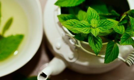 Menta Menta