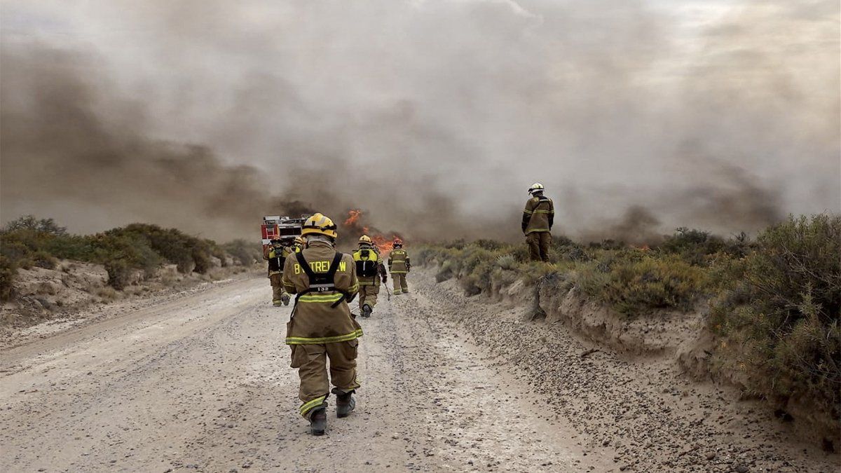 Miles de hectáreas fueron arrasadas ya por los incendios que desde hace varios días azotan a diversos puntos del sur argentino