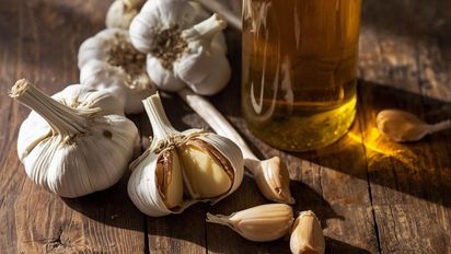 La mezcla de ajo y vinagre que protege las plantas y ahuyenta plagas: cómo prepararla