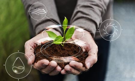 Las AgTech ayudan al proceso de transformación de la agricultura. Las AgTech ayudan al proceso de transformación de la agricultura.