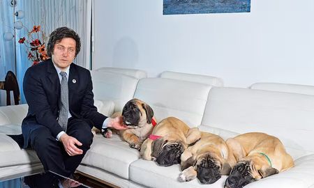 Javier Milei con sus perros cuando eran cachorros y pesaban 35 kilos. Javier Milei con sus perros cuando eran cachorros y pesaban 35 kilos.