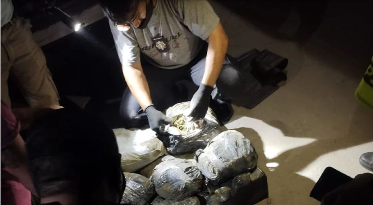Los bultos iban llenos de cogollos de marihuana.&nbsp;