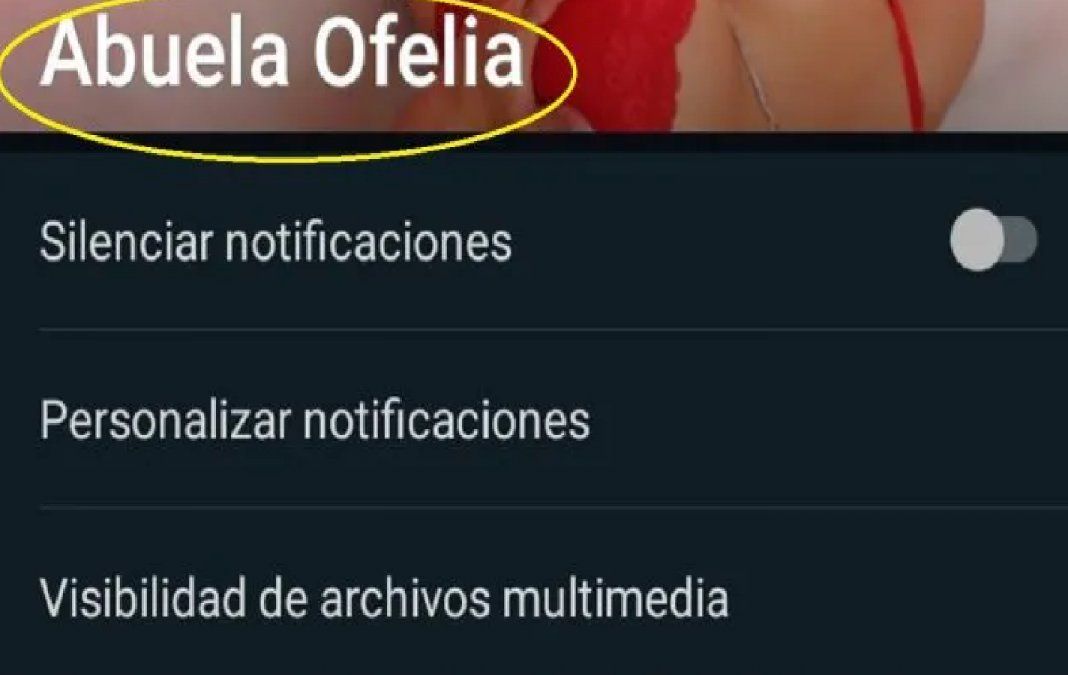 Se llevó una sorpresa al revisar el contacto de WhatsApp de su abuela fallecida y es viral