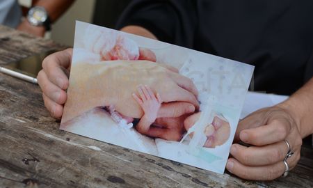Una de las primeras imágenes de Ernestina en la incubadora. Con 740 gramos, todo su cuerpo cabía en la mano de su mamá. Una de las primeras imágenes de Ernestina en la incubadora. Con 740 gramos, todo su cuerpo cabía en la mano de su mamá.