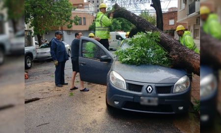 El hecho ocurrió el pasado domingo en inmediaciones de calle Primera Junta al 3300. El hecho ocurrió el pasado domingo en inmediaciones de calle Primera Junta al 3300.