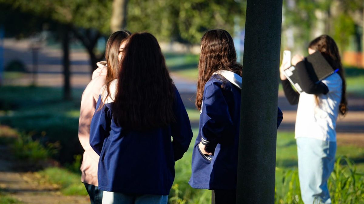 Luccisano explicó que el cerebro adolescente, expuesto a microtraumas constantes, pierde capacidad de regulación. Luccisano explicó que el cerebro adolescente, expuesto a microtraumas constantes, pierde capacidad de regulación.
