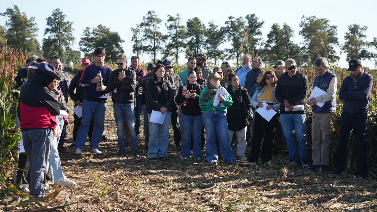 El evento reunió a productores, técnicos, asesores y empresas semilleras con el fin de intercambiar conocimientos y avances sobre el manejo del sorgo. El evento reunió a productores, técnicos, asesores y empresas semilleras con el fin de intercambiar conocimientos y avances sobre el manejo del sorgo.
