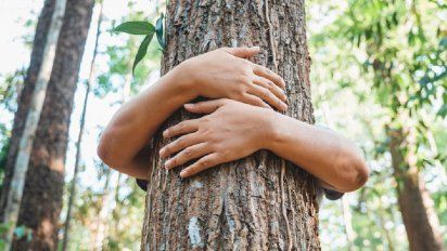 Día del Árbol en Argentina: por qué se celebra el 29 de agosto
