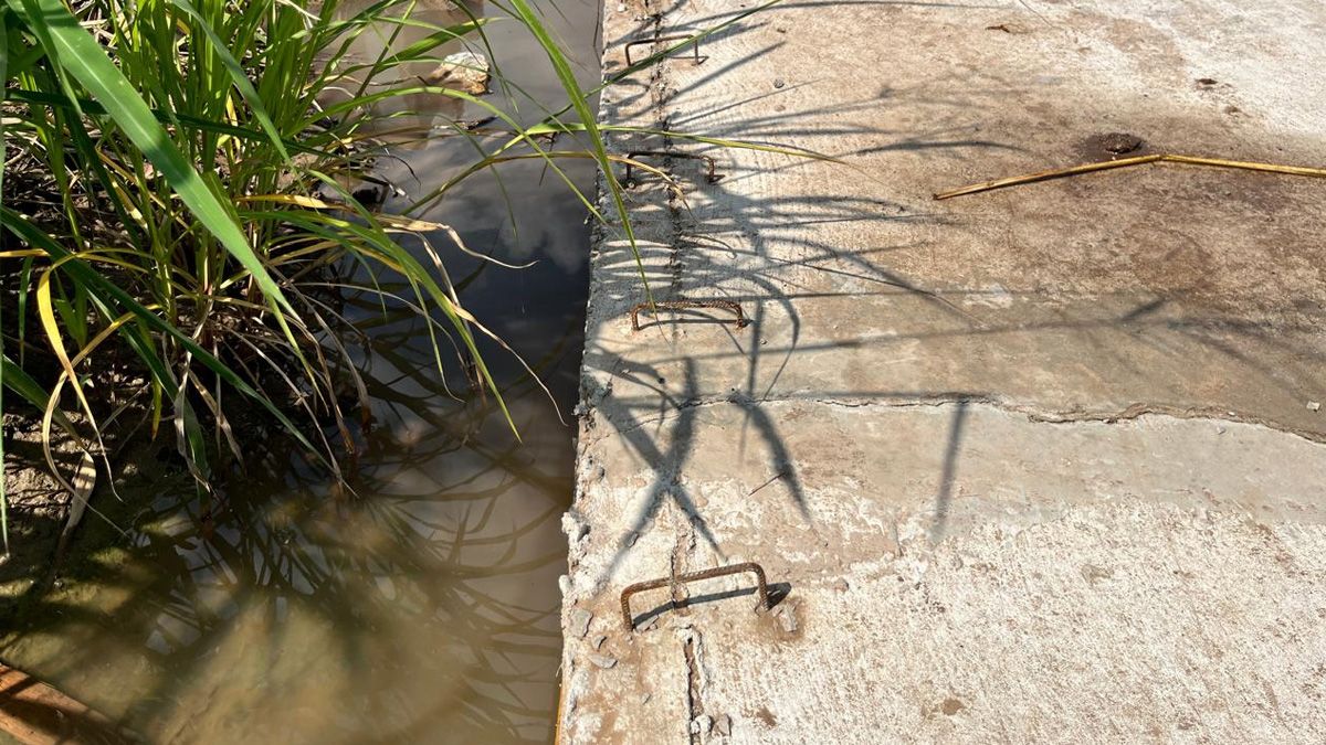 En algunos puntos, las grietas son m&aacute;s profundas y visibles incluso en los bordes cercanos al cord&oacute;n.
