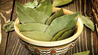 Dónde colocar hojas de laurel en casa para atraer suerte y prosperidad, según el Feng Shui