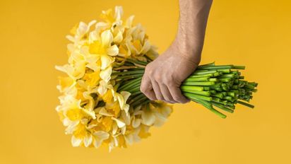 Día de las Flores Amarillas: cuándo se regalan y cuál es su significado