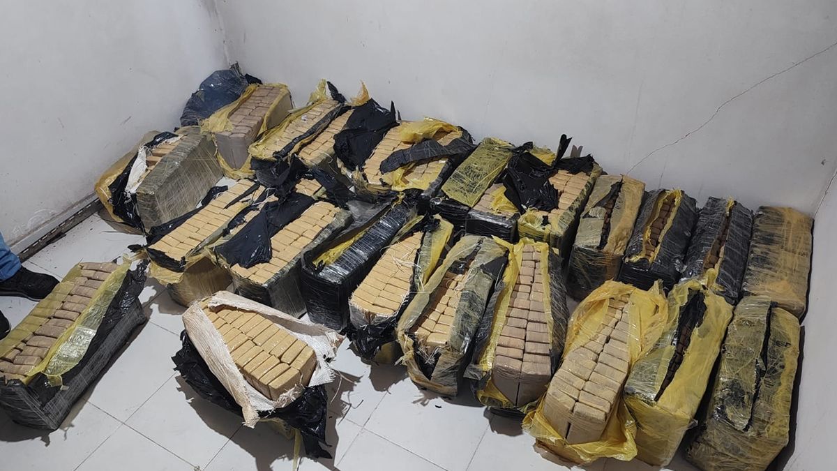 La policía secuestró al menos 700 bloques de marihuana embalados en cinta papel ocre. La policía secuestró al menos 700 bloques de marihuana embalados en cinta papel ocre.