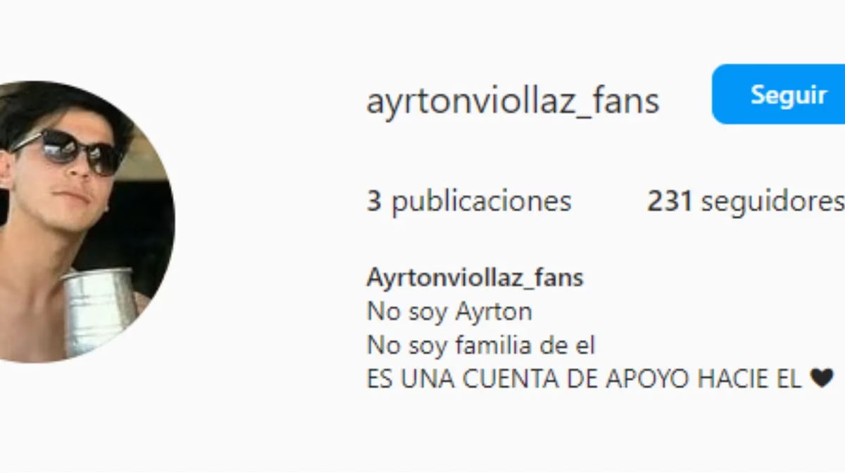 Otra cuenta falsa apoya a Ayrton Viollaz, uno de los detenidos (Captura Instagram @ayrtonviollaz_fans).