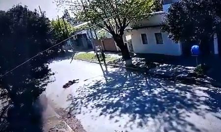 La secuencia fue registrada por cámaras de seguridad de la zona, en las que se ve a la joven cuando es arrastrada por la calle por la moto de los delincuentes y luego atropellada por un auto. La secuencia fue registrada por cámaras de seguridad de la zona, en las que se ve a la joven cuando es arrastrada por la calle por la moto de los delincuentes y luego atropellada por un auto.