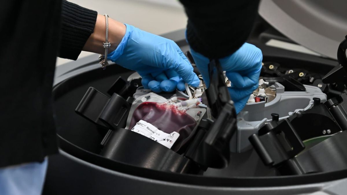 La nueva normativa nacional sobre el sistema de sangre formaliza un modelo que Santa Fe ya había adoptado y es pionero en el país. La nueva normativa nacional sobre el sistema de sangre formaliza un modelo que Santa Fe ya había adoptado y es pionero en el país.