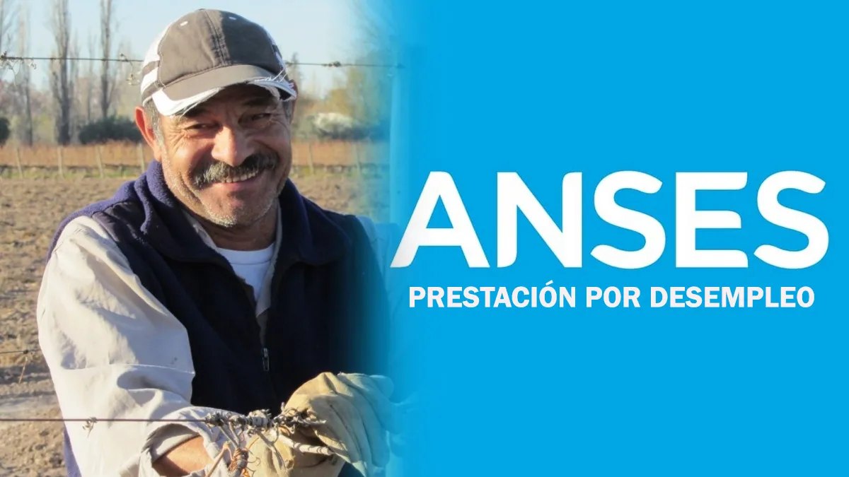 ANSES le paga más de $200.000 a desempleados: cuáles son los requisitos