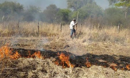 inta lanzo una guia clave para el manejo del fuego en el chaco argentino inta lanzo una guia clave para el manejo del fuego en el chaco argentino