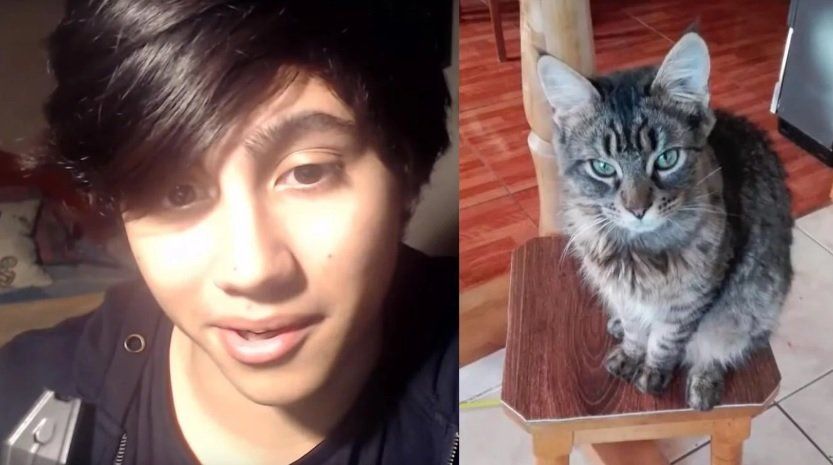 Quién es “Peluchin Entertainment”, el youtuber chileno que se grabó matando a su gato