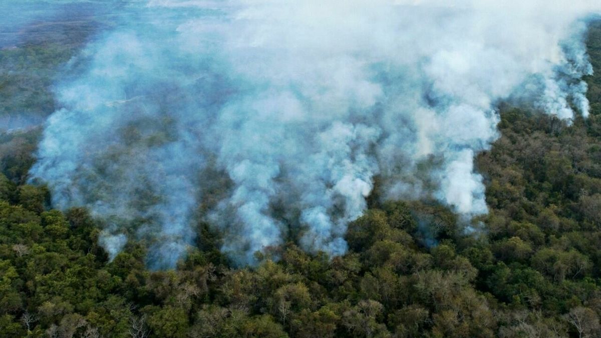La Amazonía brasileña sufrió en mayo el mayor número de incendios para ese mes desde el 2004.