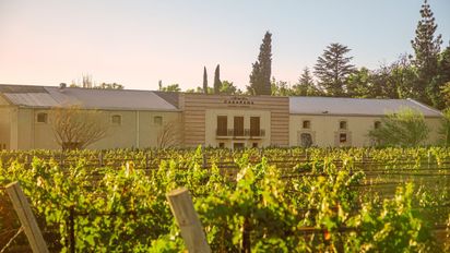 Ni Jujuy ni La Rioja: descubrí cuatro bodegas históricas en Mendoza para degustar y visitar