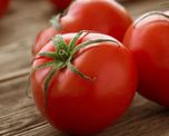 Cómo hay que guardar los tomates para que duren más tiempo y mantengan su sabor. Cómo hay que guardar los tomates para que duren más tiempo y mantengan su sabor.