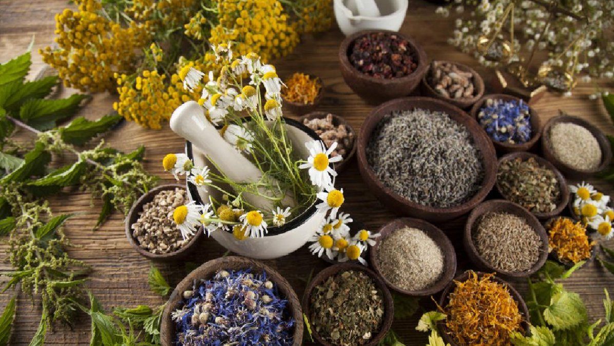 Hierbas para la salud