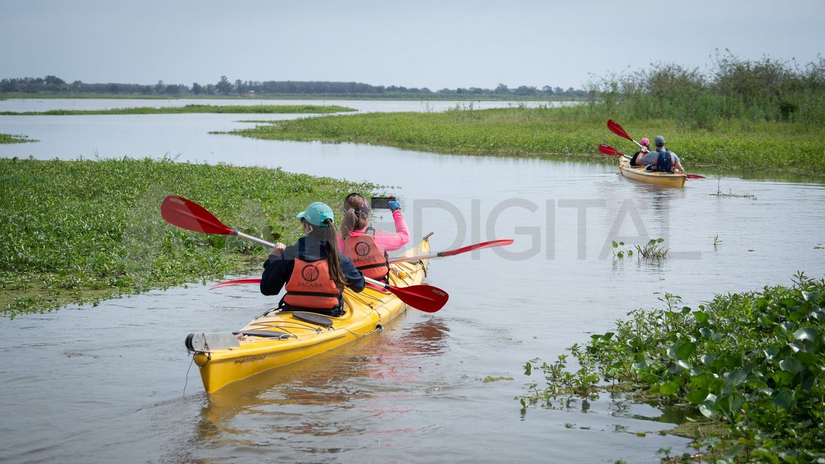 En los kayaks se rema despacio, como En los kayaks se rema despacio, como