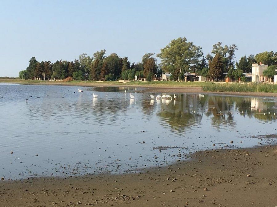 Imágenes del lugar en el abril de 2018 muestran que antes había patos, flamencos y abundante agua en comparación con la situación actual.