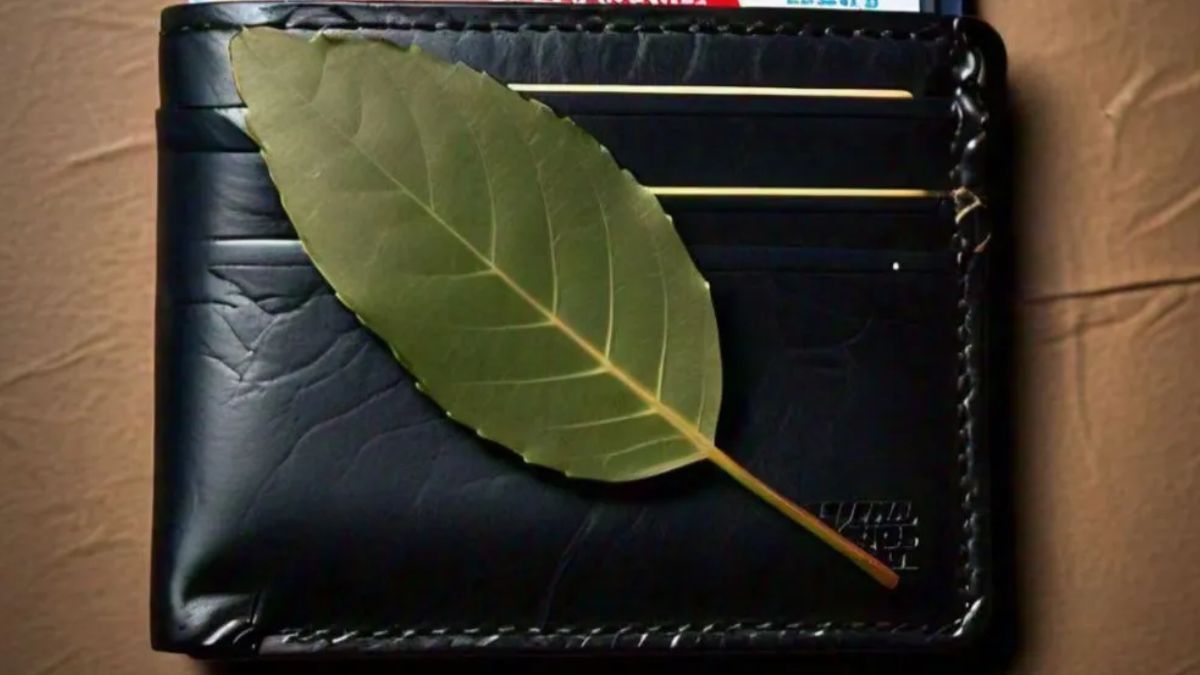 Los beneficios de poner una hoja de laurel en la billetera.