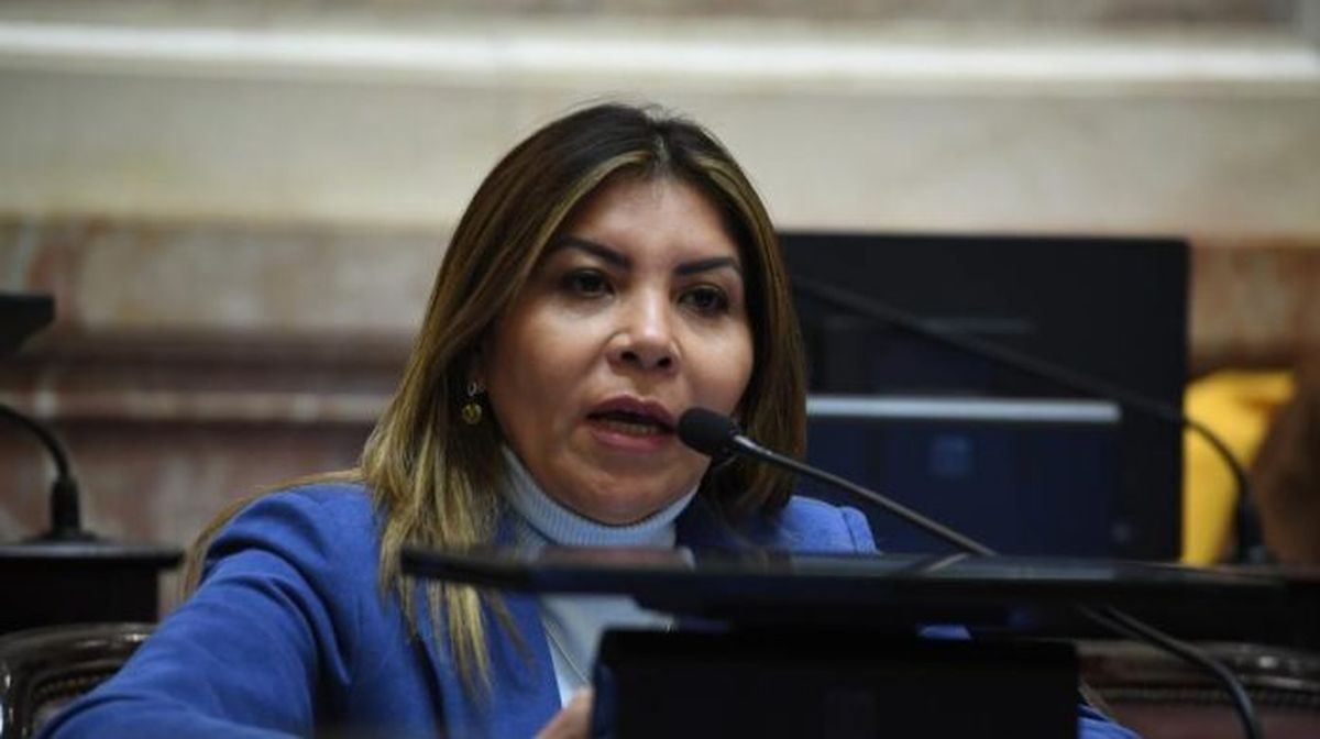 La senadora peronista Sandra Mendoza afirmó que el gobierno del presidente Javier Milei no llegará al 26 de octubre.