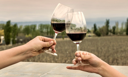 10 excursiones para hacer en Mendoza 10 excursiones para hacer en Mendoza