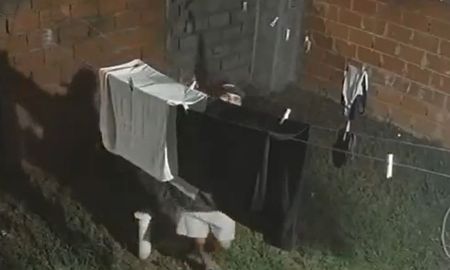 le robaron los toallones colgados del patio de su casa: el video del insolito momento le robaron los toallones colgados del patio de su casa: el video del insolito momento