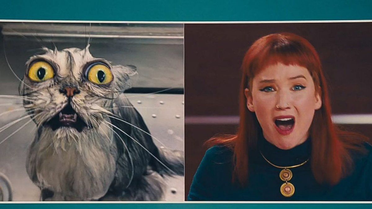 Los ciudadanos de la película interpretan la noticia del impacto del cometa contra la Tierra como una fake news y rápidamente viralizan memes del personaje de Jennifer Lawrence, una científica que desesperada intentó dar el mensaje de la destrucción del planeta en televisión, sin éxito.