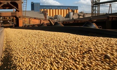 ?los productores no especulamos? ?los productores no especulamos?