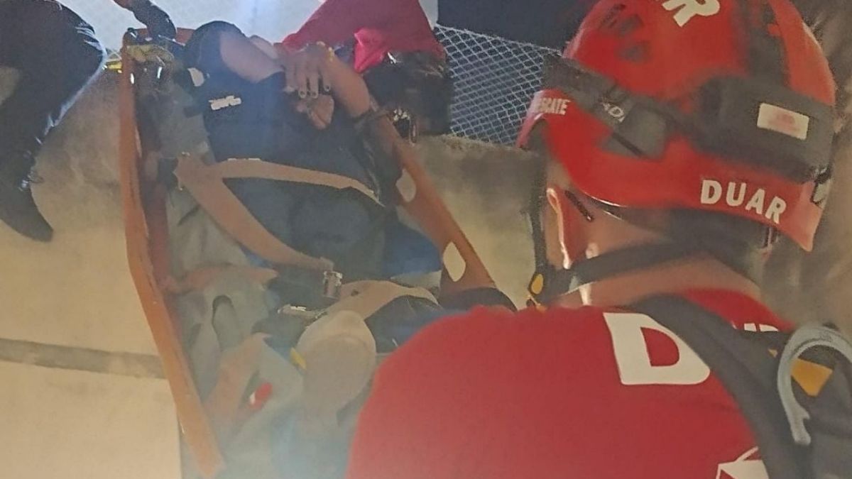 El operativo de bomberos permitió bajar a la mujer y rescatar a su gato ileso en barrio Alberdi, Córdoba capital. El operativo de bomberos permitió bajar a la mujer y rescatar a su gato ileso en barrio Alberdi, Córdoba capital.