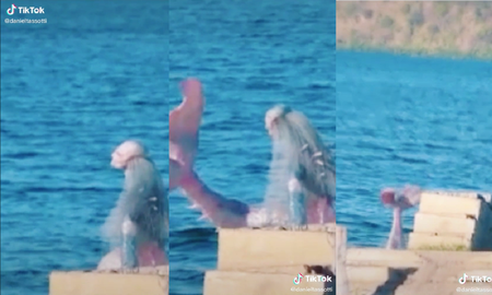 Video viral: se encontraron con una sirena mientras estaban navegando. Video viral: se encontraron con una sirena mientras estaban navegando.