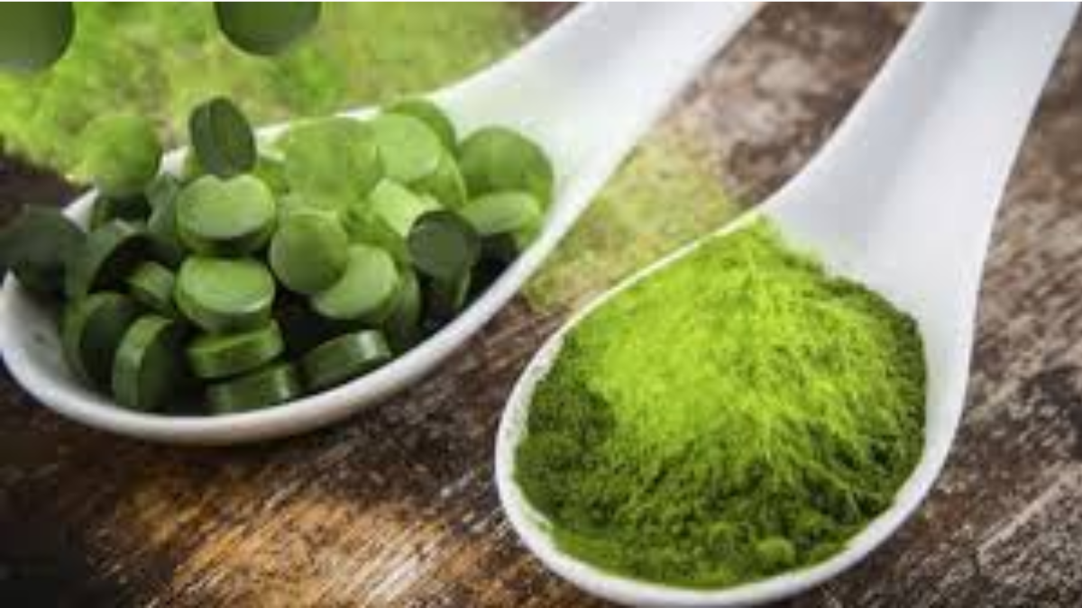 La espirulina supera en densidad proteica a la carne y el huevo. Sus beneficios energía natural y recuperación muscular inmediata.