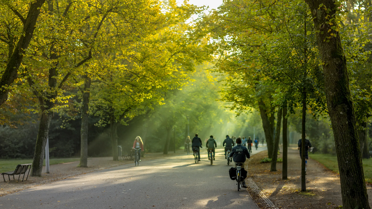 El parque Vondelpark permite conocer el parque más famoso de Ámsterdam. El parque Vondelpark permite conocer el parque más famoso de Ámsterdam.