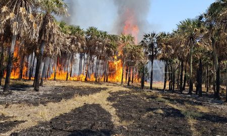 Incendio en el departamento Vera, entre Las Golondrinas y Los Amores, en el norte de la provincia. Incendio en el departamento Vera, entre Las Golondrinas y Los Amores, en el norte de la provincia.