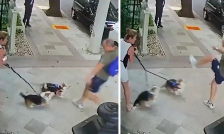 Cámaras de seguridad del barrio de Perdizes captaron el momento exacto de la agresión contra los dos animales. Cámaras de seguridad del barrio de Perdizes captaron el momento exacto de la agresión contra los dos animales.