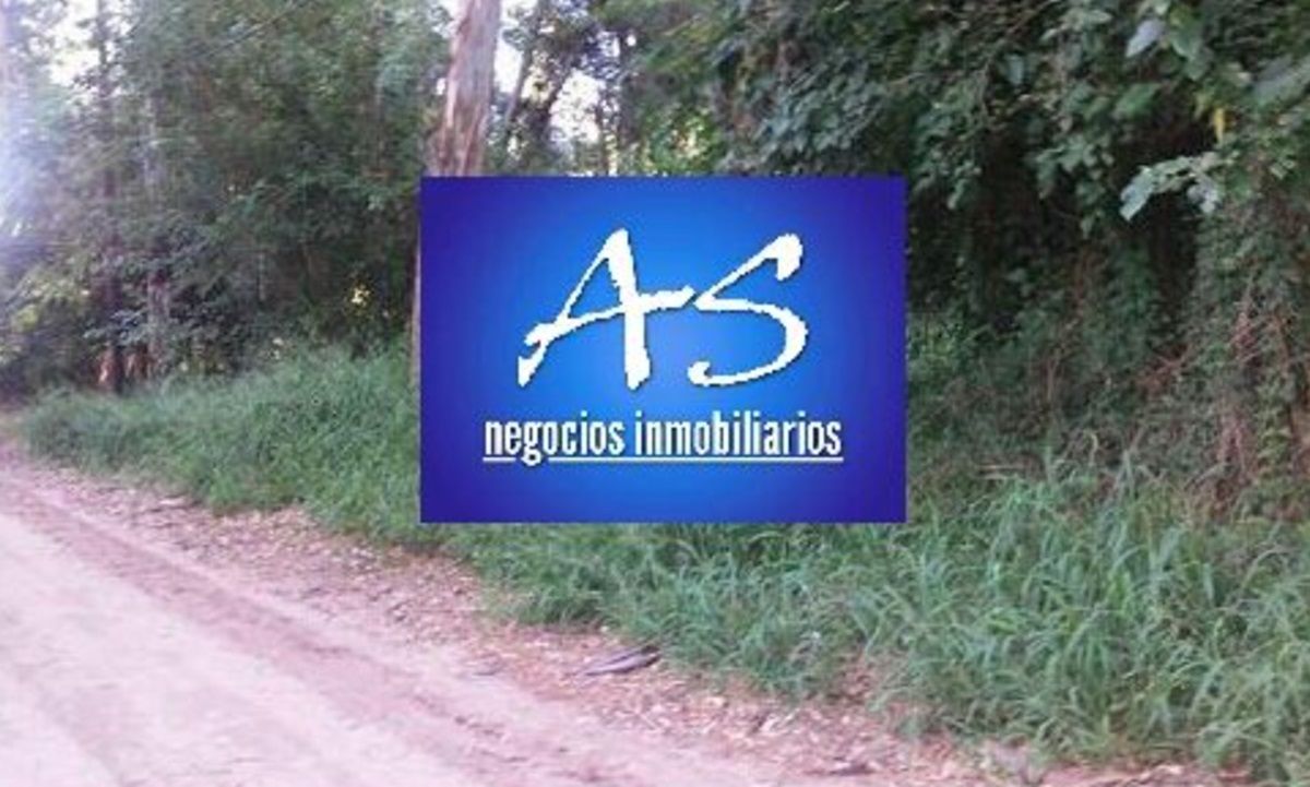 Las operaciones inmobiliarias eran realizadas por medio de una firma llamada Las operaciones inmobiliarias eran realizadas por medio de una firma llamada