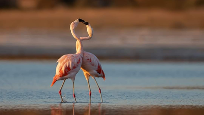 No es Alta Gracia y ni Cosquín: descubrí una ciudad de Córdoba con un hotel y una ciudad sumergida