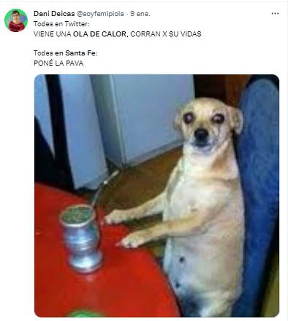 La ola de calor se siente en la provincia de Santa Fe y los santafesinos compartieron su humor en las redes. Foto: Captura Twitter